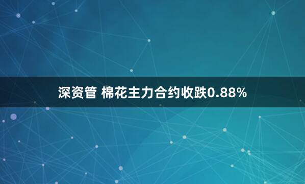 深资管 棉花主力合约收跌0.88%