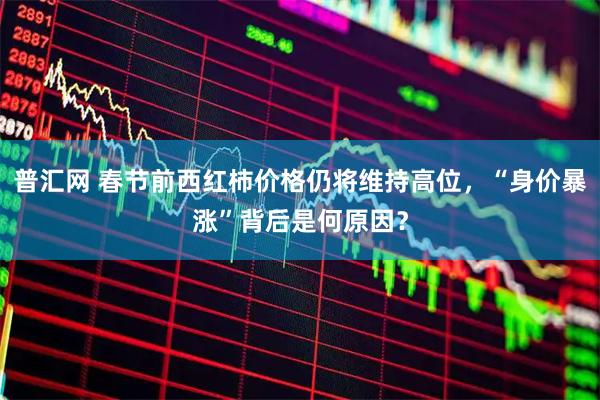 普汇网 春节前西红柿价格仍将维持高位，“身价暴涨”背后是何原因？