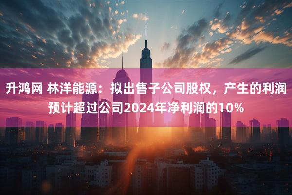 升鸿网 林洋能源：拟出售子公司股权，产生的利润预计超过公司2024年净利润的10%